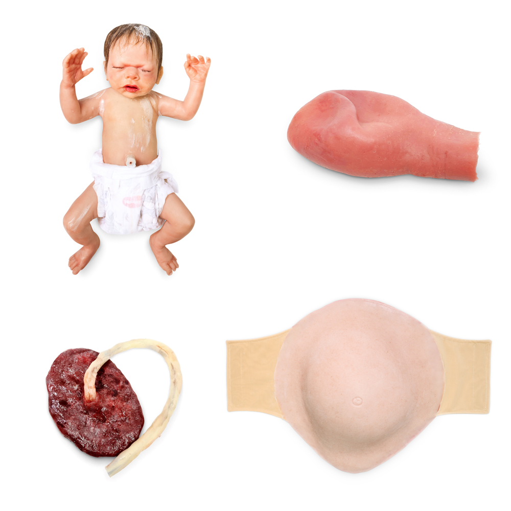 Maternity and Neonatal Bundle