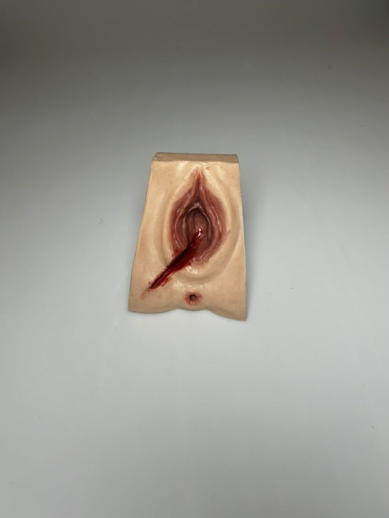 SALE- MW225-R Perineal Suture Trainer