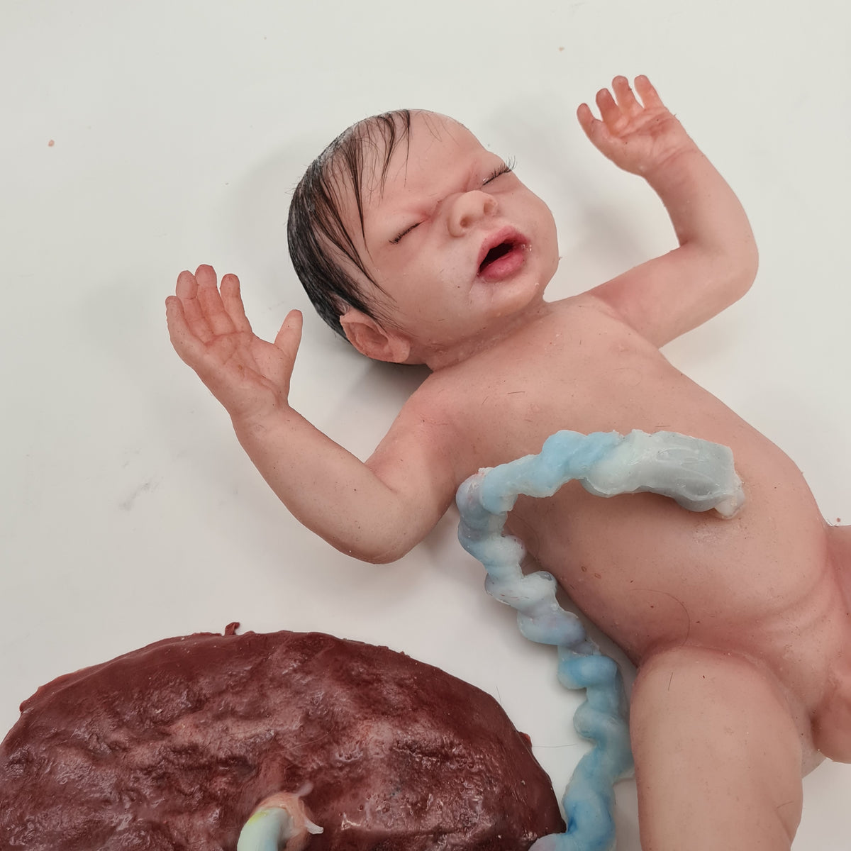 MO750 Wearable C-section model