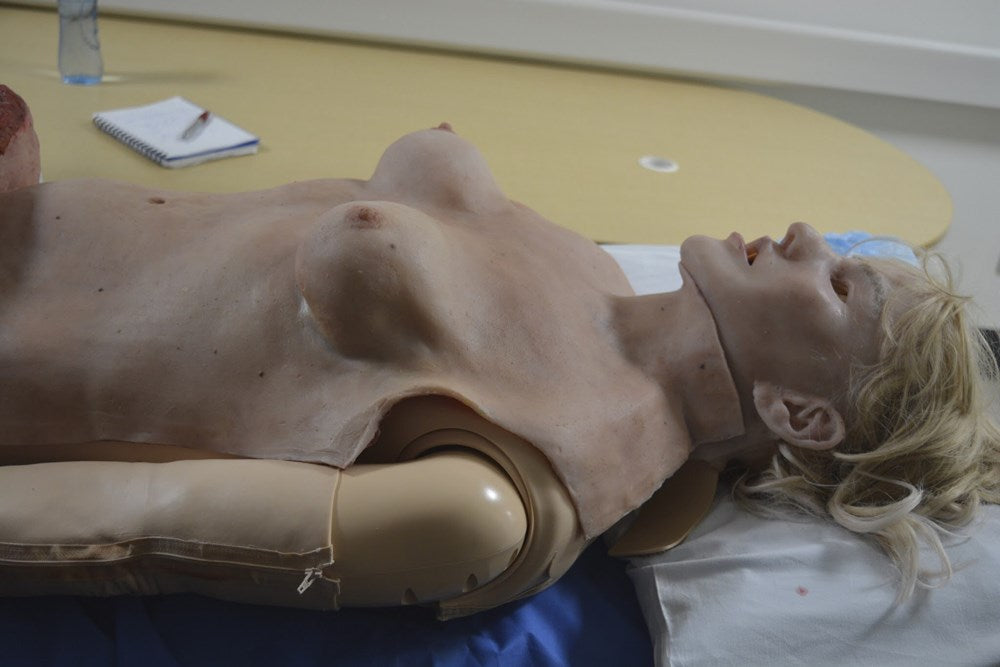 Torso Female