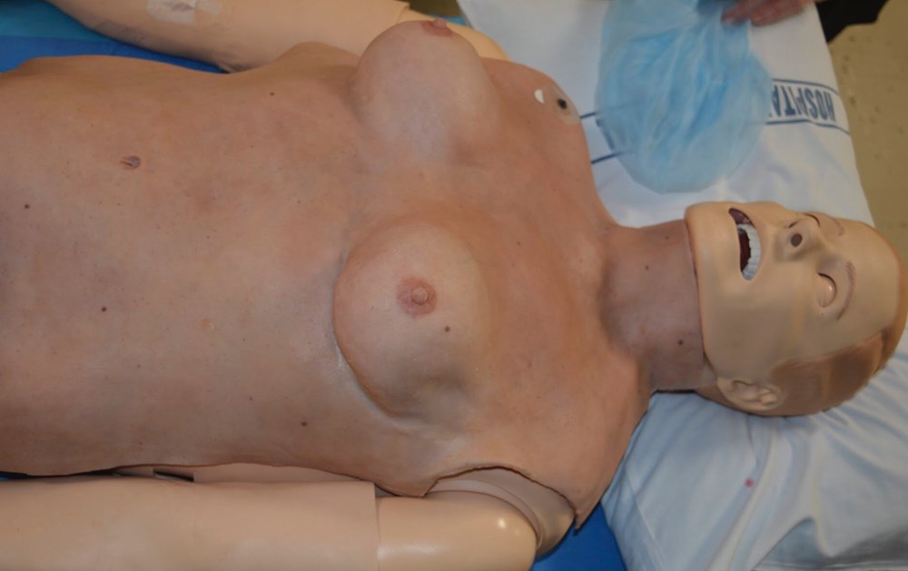 Torso Female Velcro