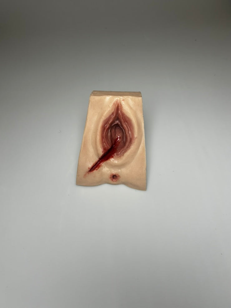 SALE- MW225-R Perineal Suture Trainer