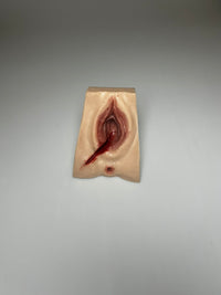 SALE- MW225-R Perineal Suture Trainer