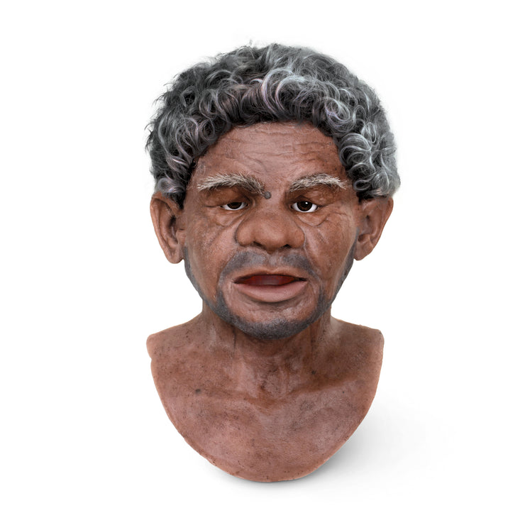 Noah - SimMan Facial Overlay