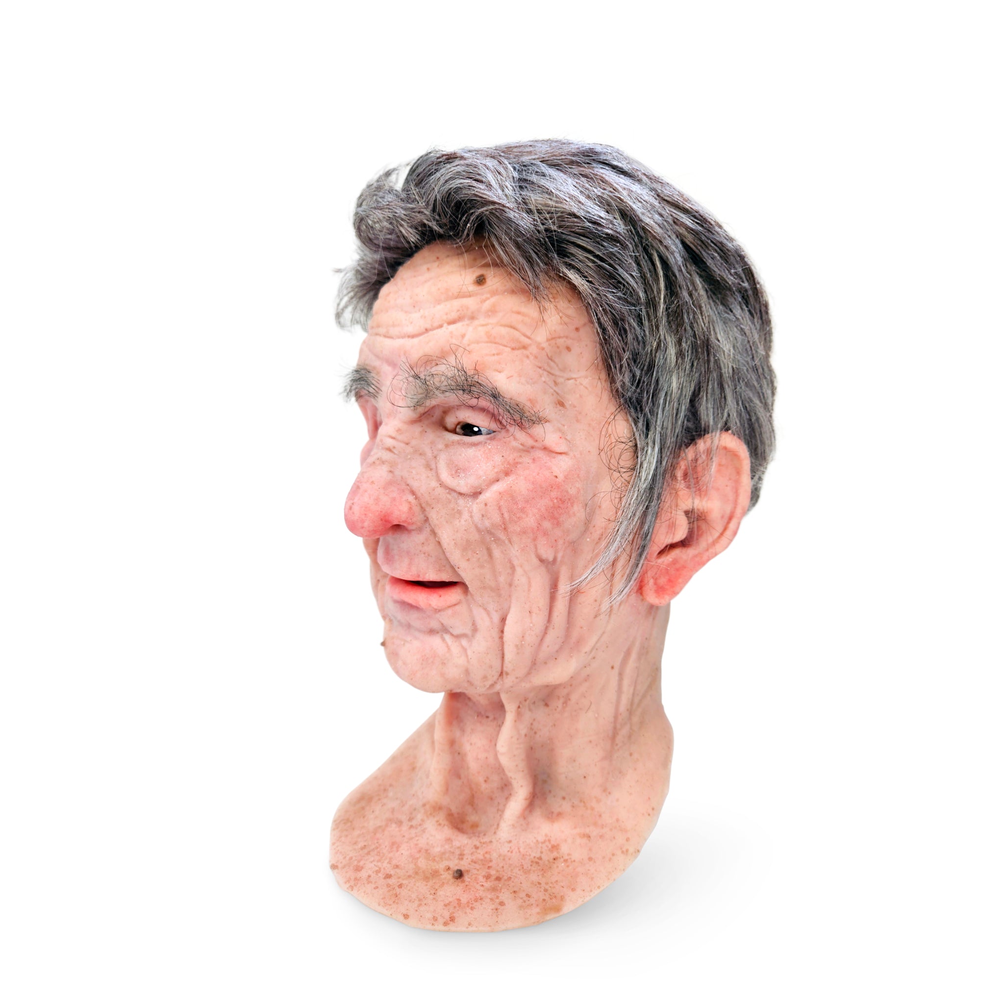 Olaf - Facial Overlay