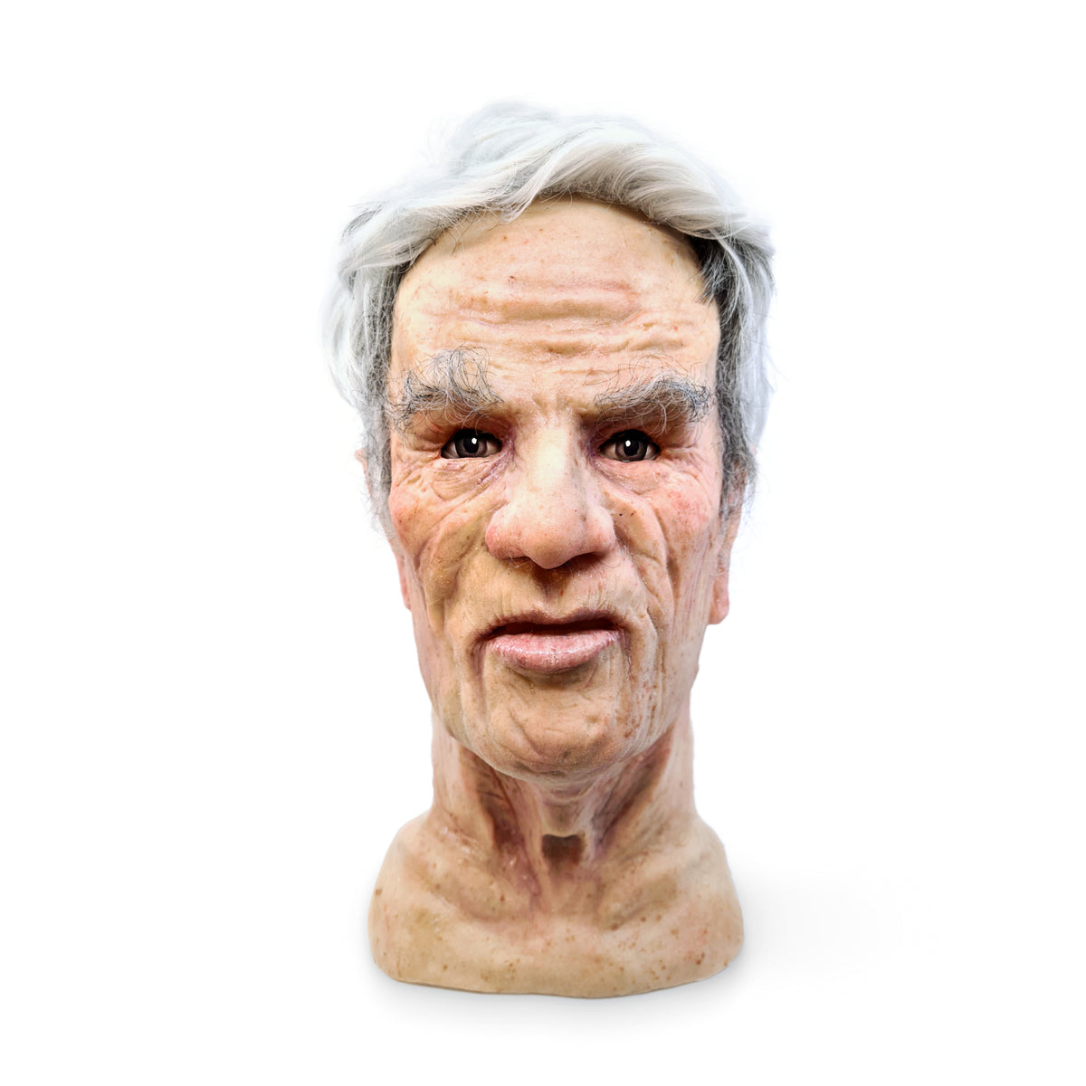 Willem Sonneberg - Gaumard Hal Facial Overlay