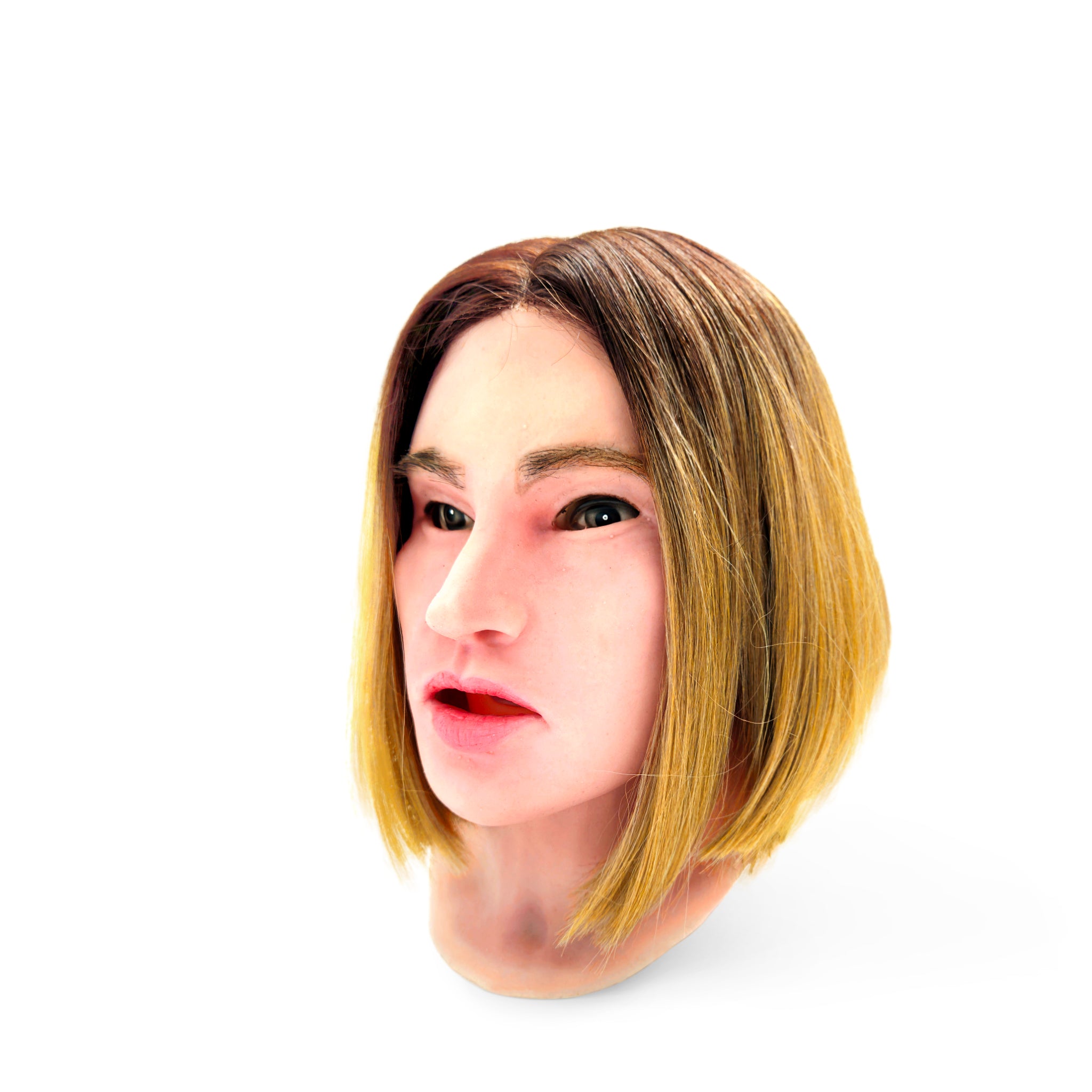 Alice - Nursing Anne Facial Overlay