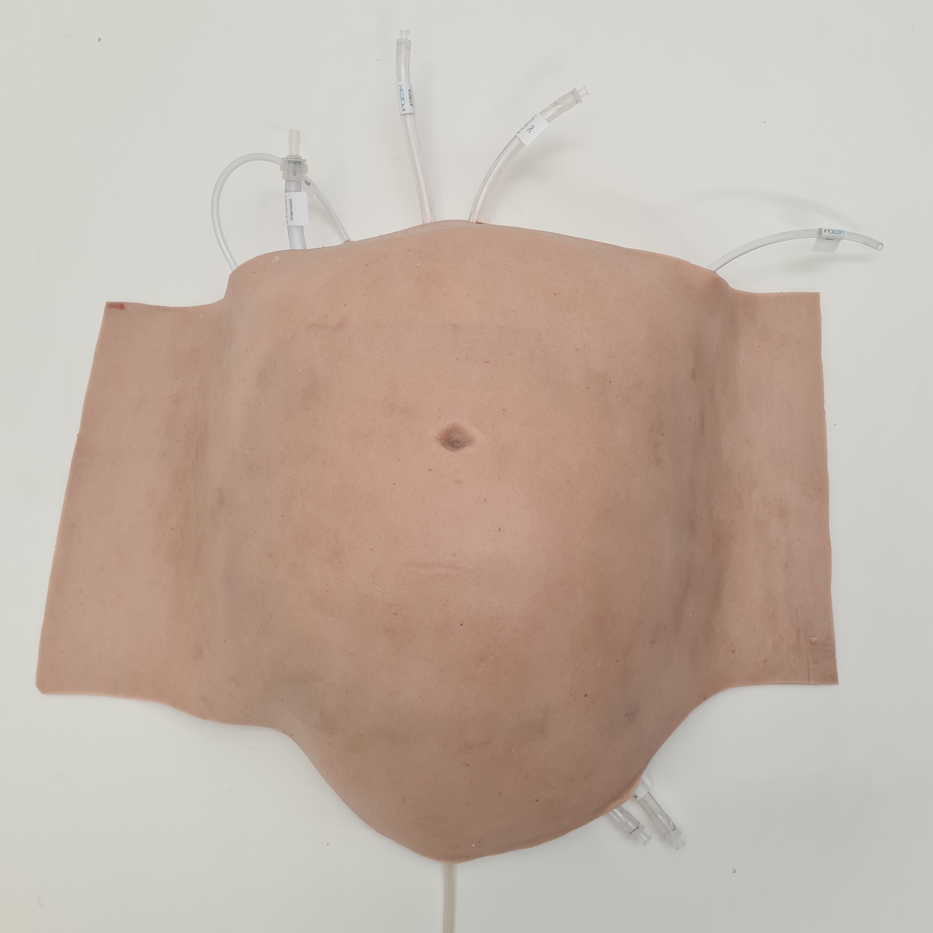 Abdominal Model