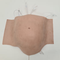 Abdominal Model