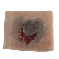 SIM - Clinical package - Elderly care