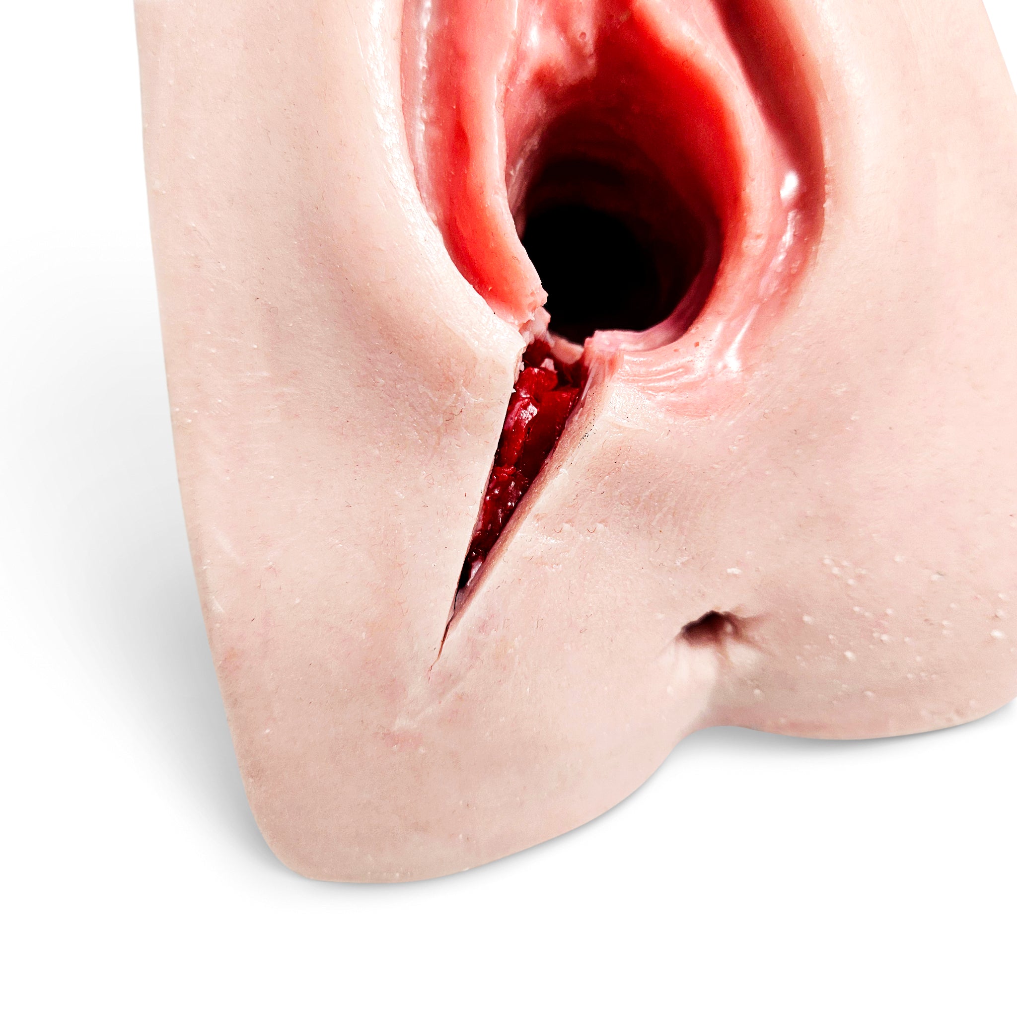 Perineal Suture Trainer