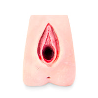 Perineal Suture Trainer