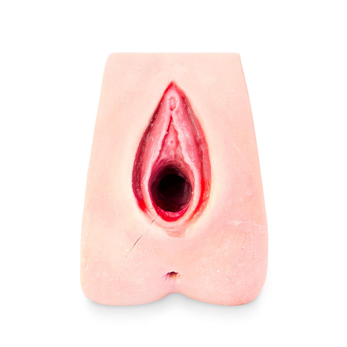 Perineal Suture Trainer