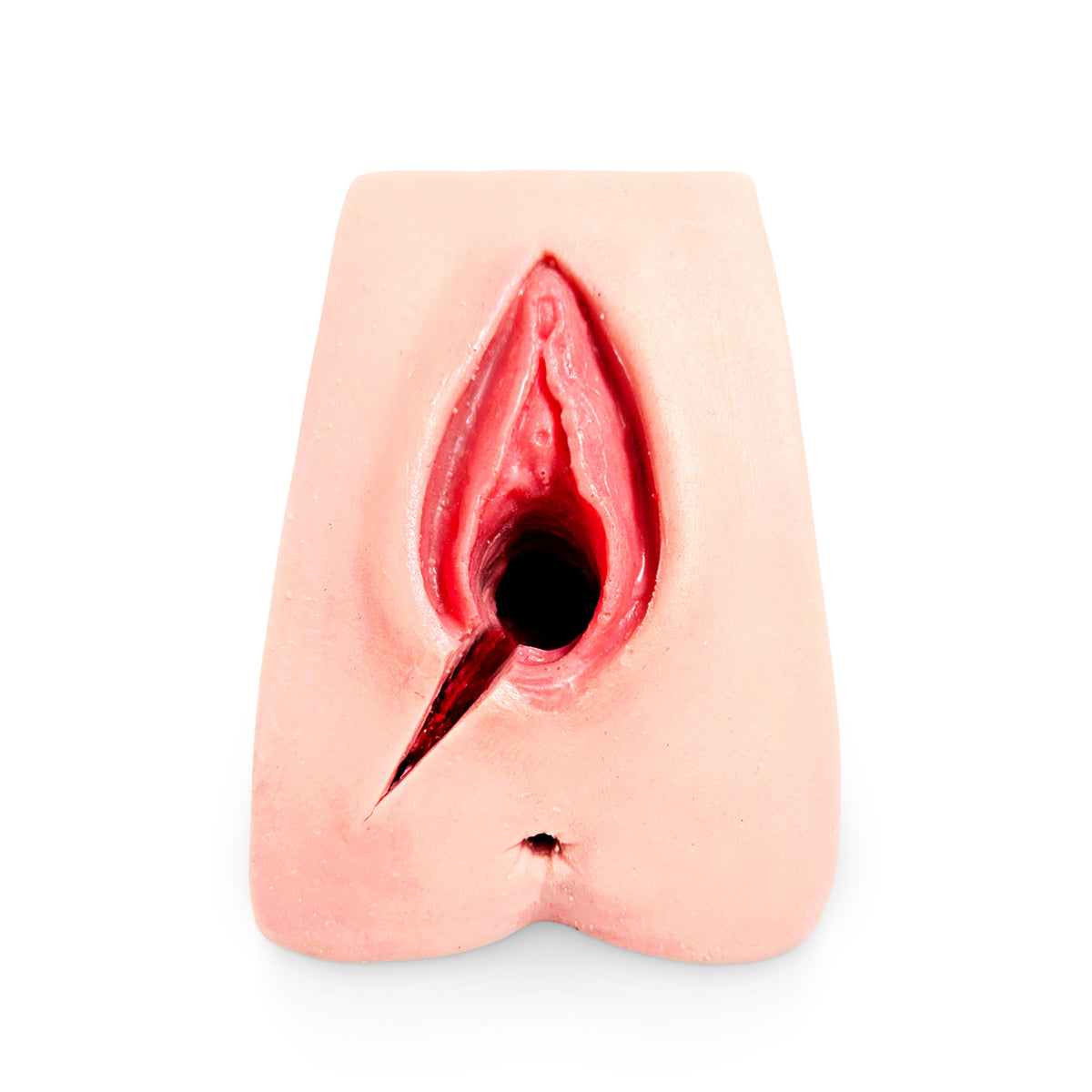 Perineal Suture Trainer