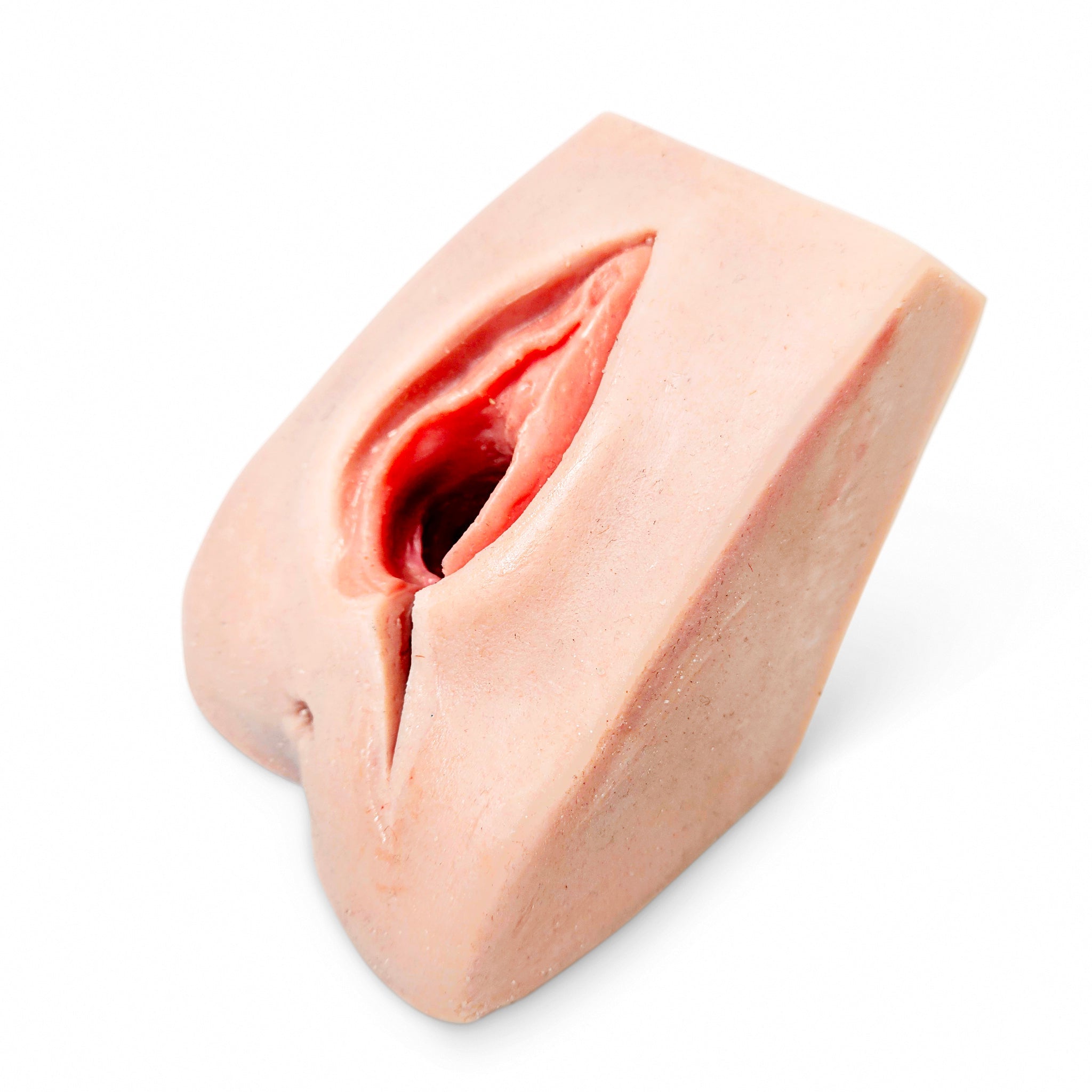 Perineal Suture Trainer