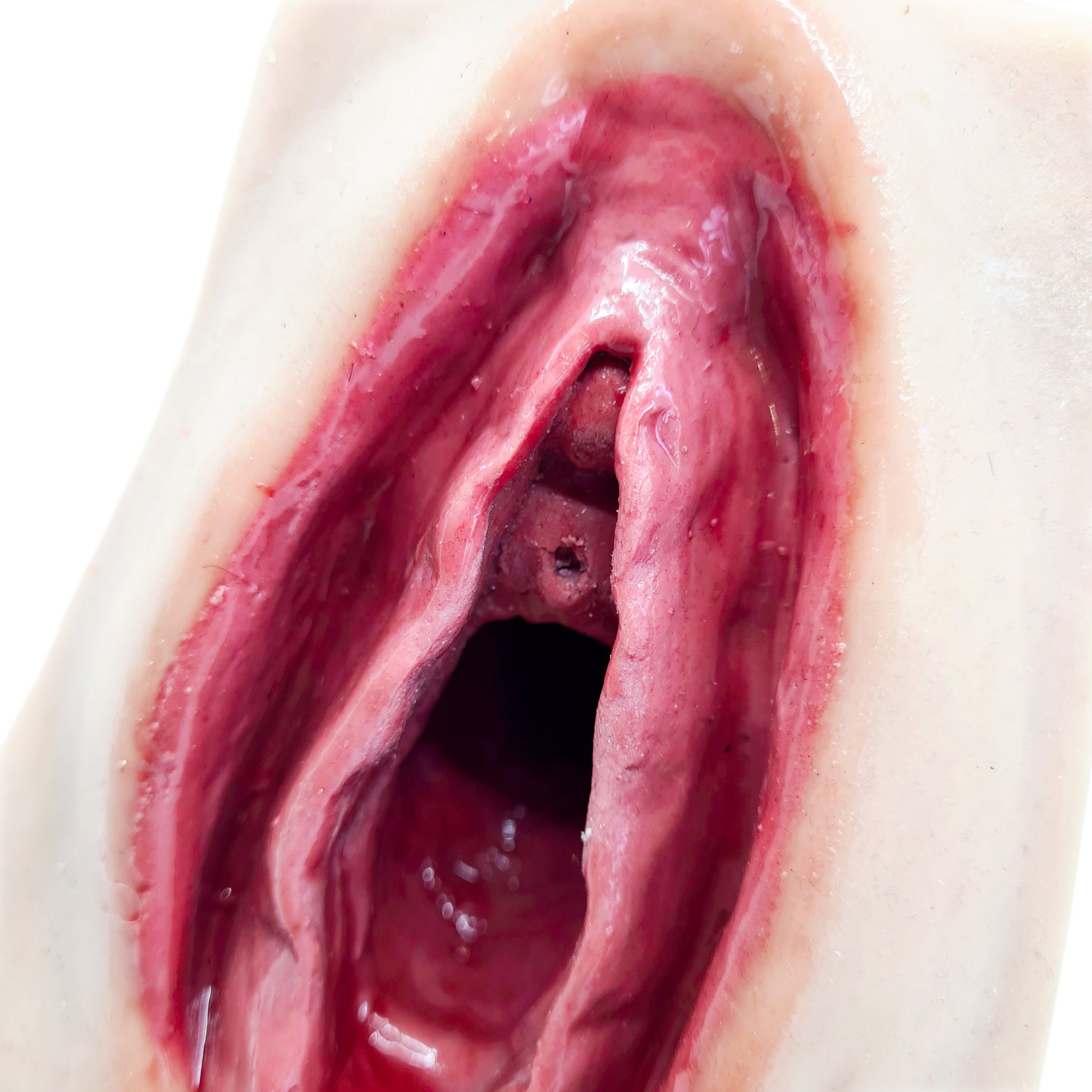 Advanced Perineal Suture Trainer