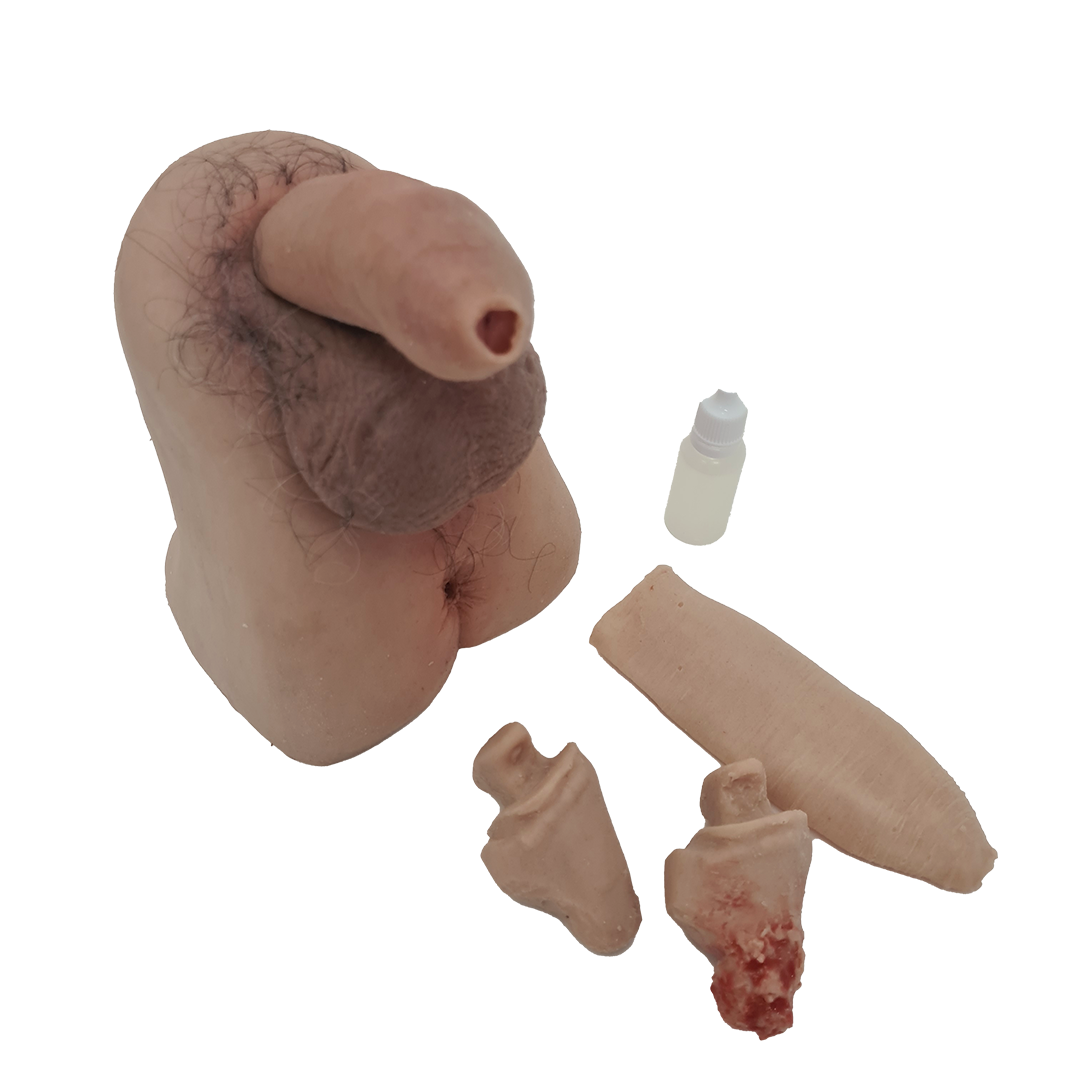 Male Genitalia Trainer