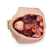 Wearable C-Section Model & Baby Aiden