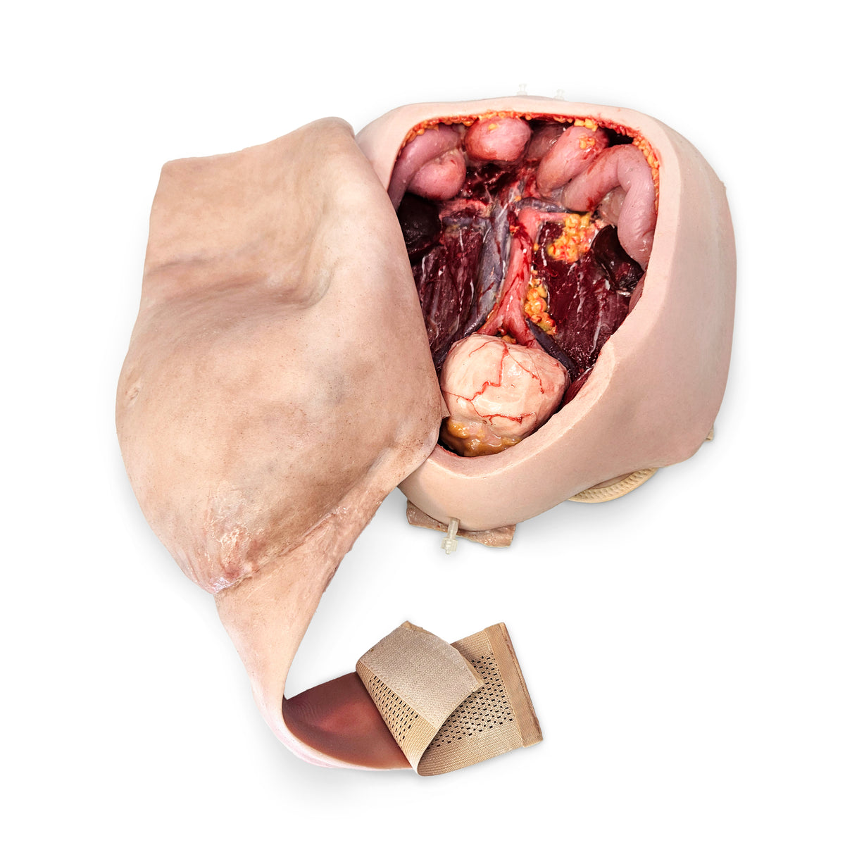 Wearable C-Section Model &amp; Baby Aiden