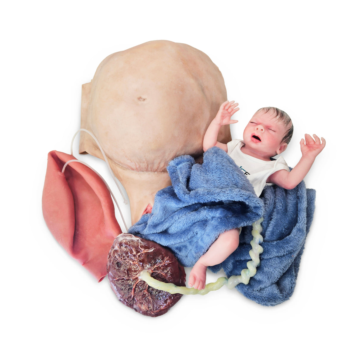 Wearable C-Section Model &amp; Baby Aiden