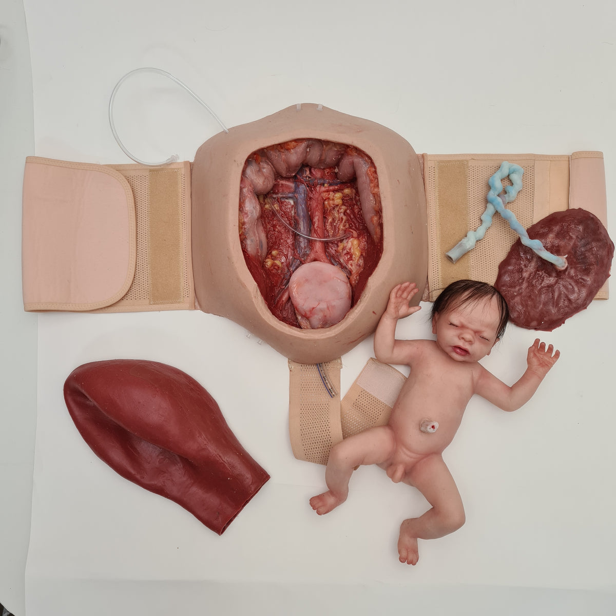 MO750 Wearable C-section model