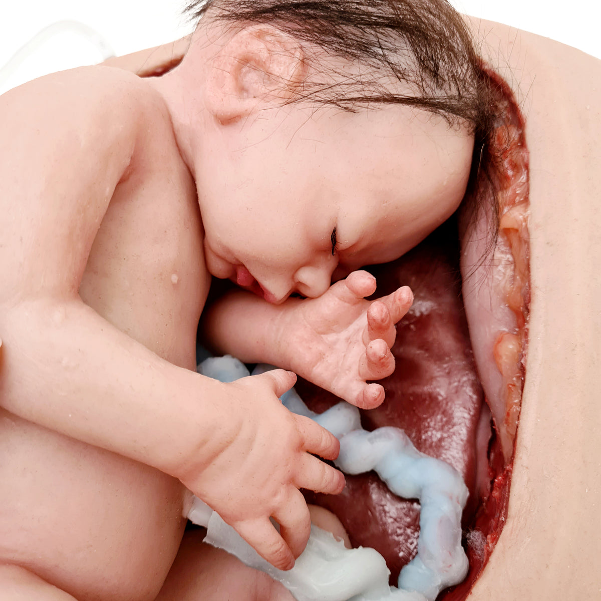 Wearable C-Section Model &amp; Baby Aiden