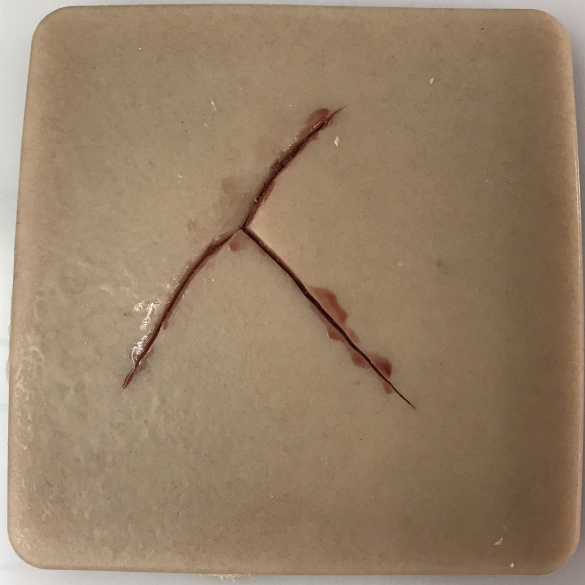 Suture Pad x 4 Precut