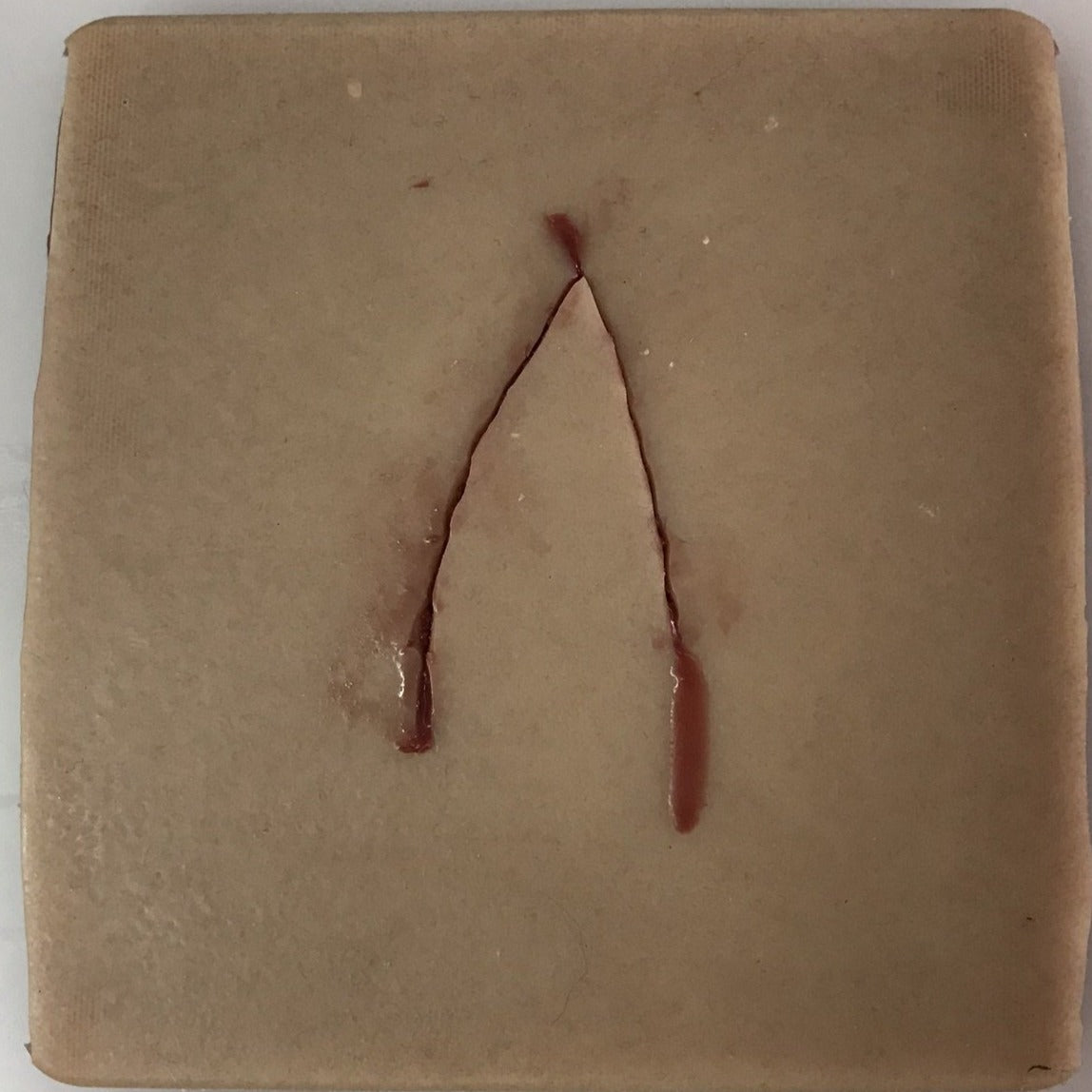 Suture Pad x 4 Precut