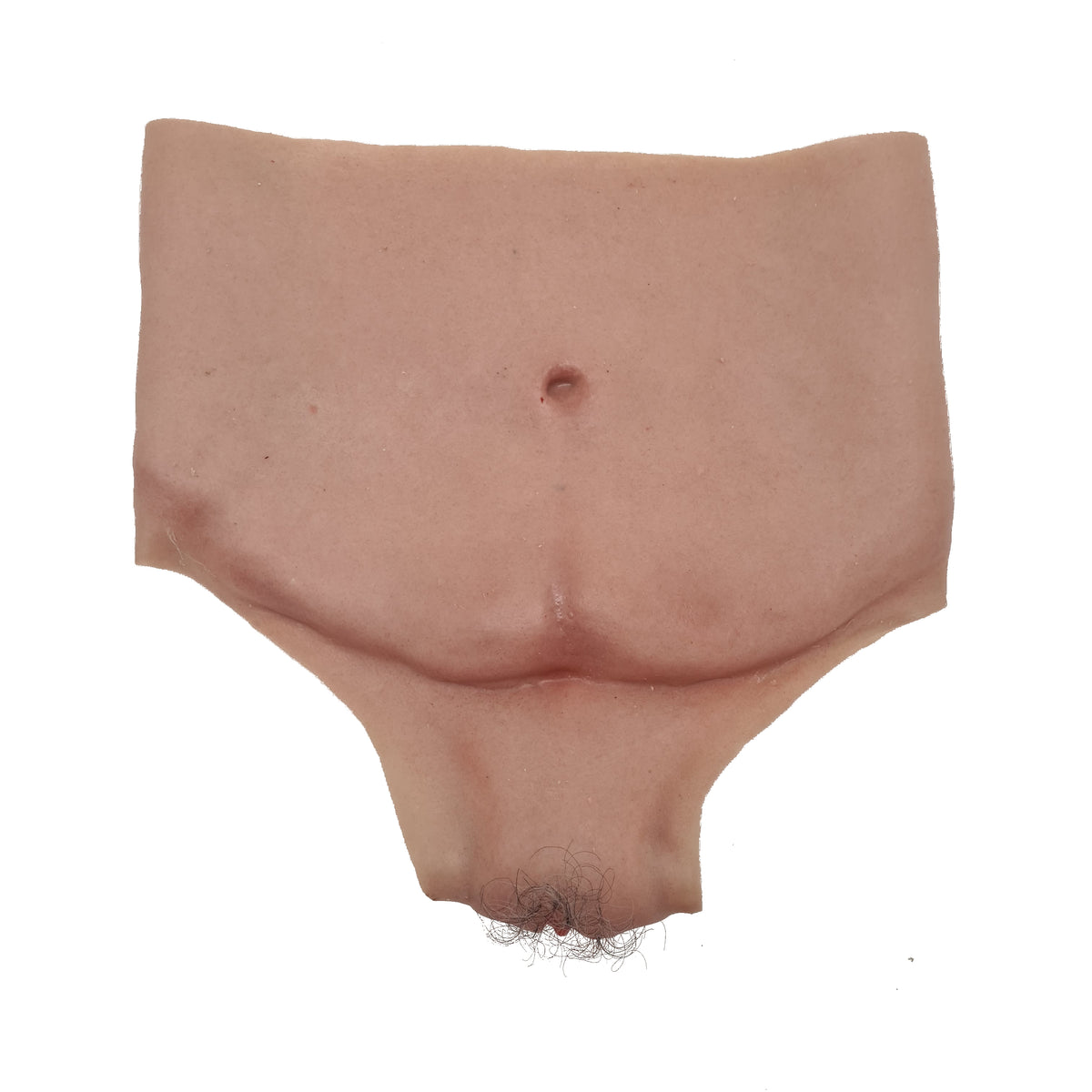 MM590 Geriatric Female Belly And Vulva