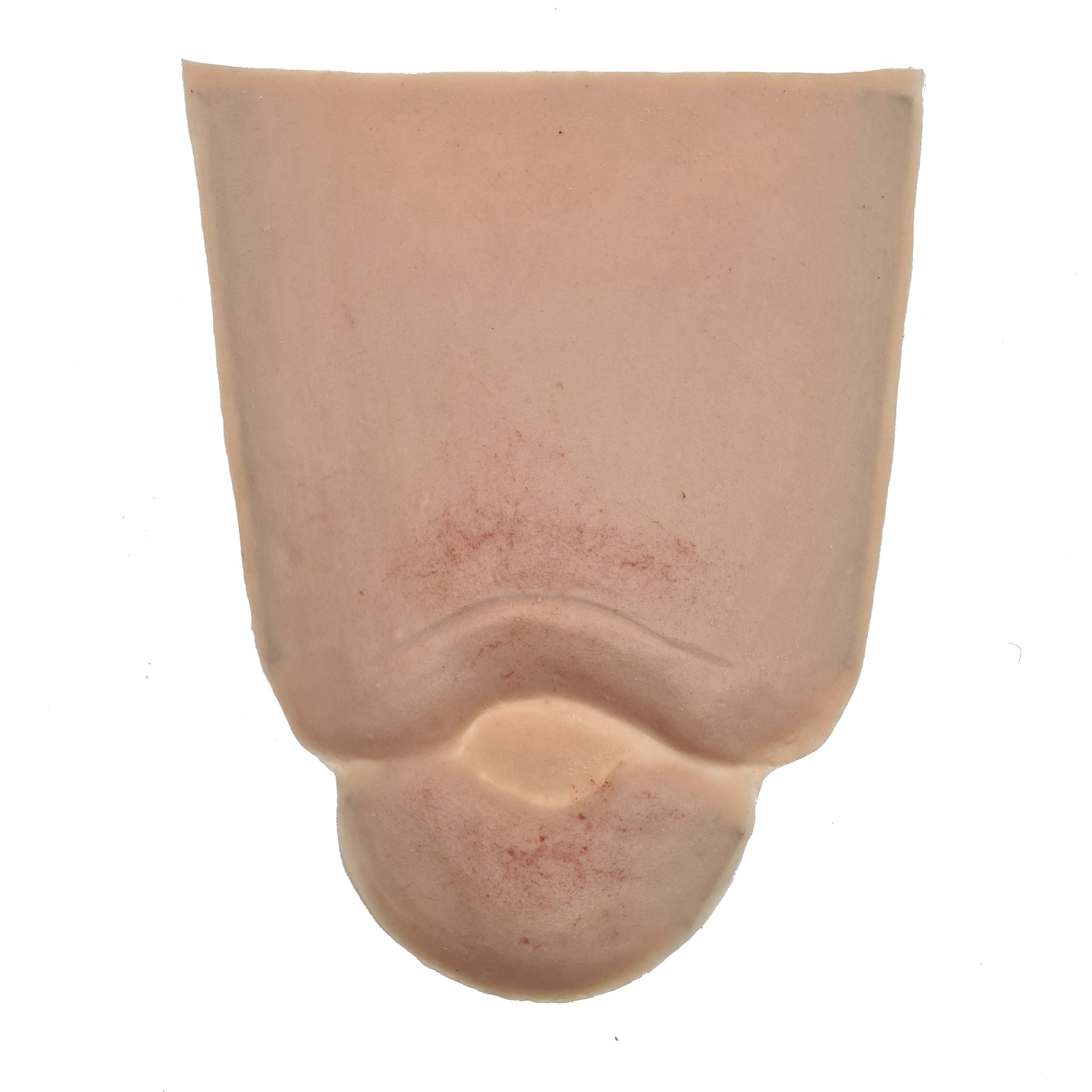 SIM - Clinical package - Elderly care