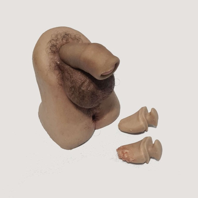 Male Genitalia Trainer